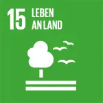 UN-Nachhaltigkeitsziel 15: Leben an Land